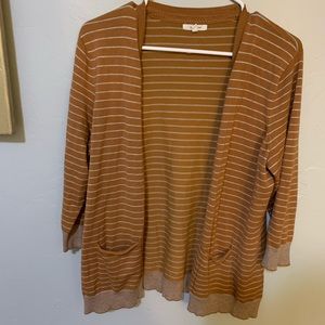 👏🏻MAURICE’S CARDIGAN👏🏻